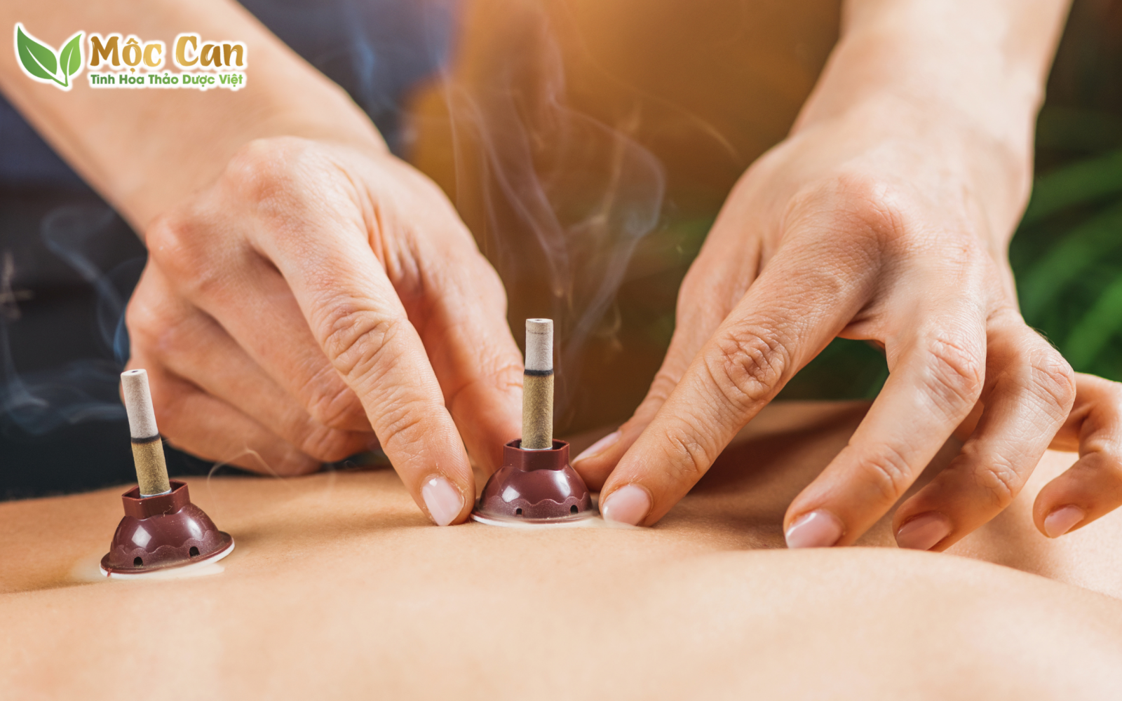 NGẢI CỨU - CỨU SỨC KHỎE CHỚ DÙNG NHIỀU 2